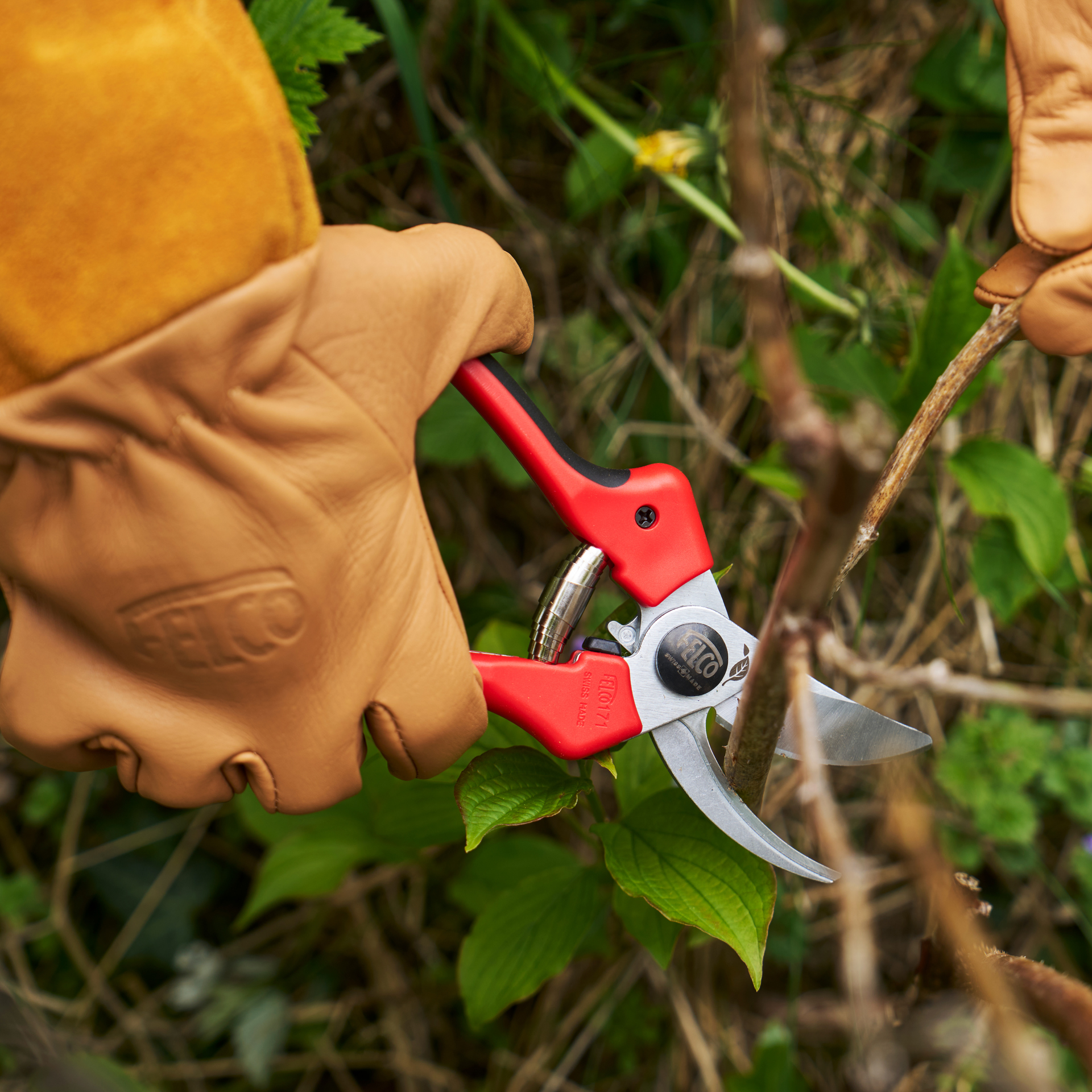 Gartenschere FELCO 171L im Einsatz zusammen mit den Rosenhandschuhen FELCO 705