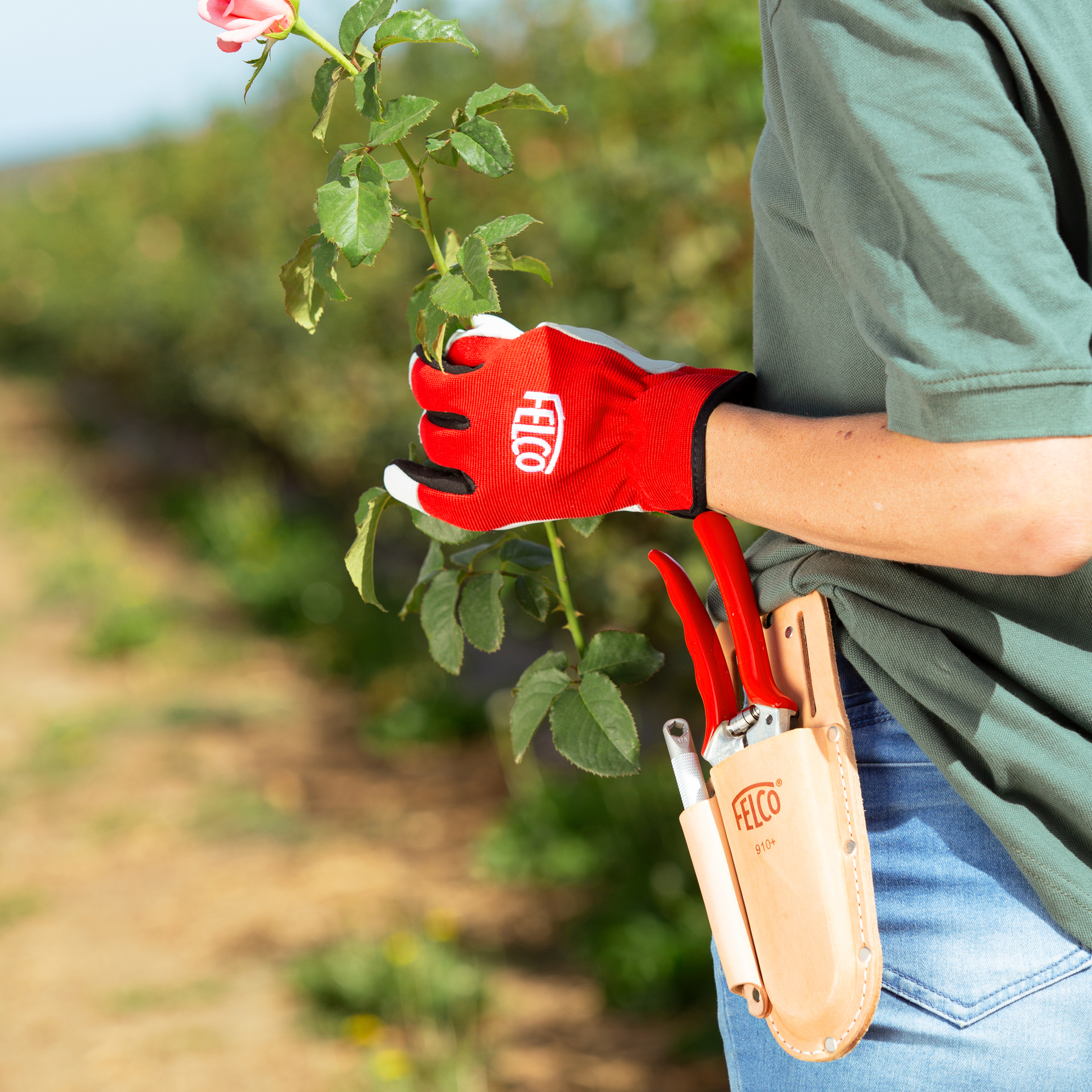 Die gartenschere FELCO 10 ergänzt sich hervorragend mit dem Trage-Etui FELCO 910+ und den Handschuhen FELCO 702