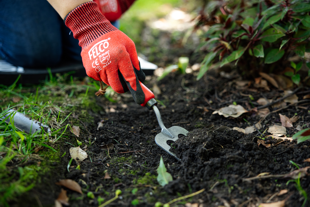 Die Handgabel FELCO 431 ist ein unverzichtbares Gartengerät. Die Klinge aus geschmiedetem Borstahl und die scharfen Zinken lockern mühelos den Boden, mischen Kompost, entfernen alte Pflanzen und verpflanzen sie.